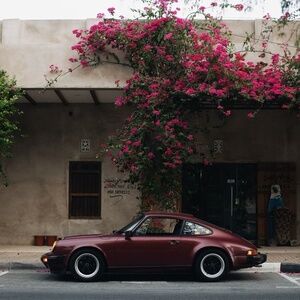 Meet your Posher, Eliza